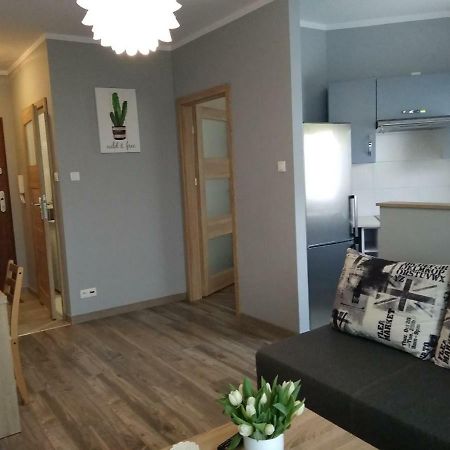 Appartamento Apartament Edelmana Gorzów Wielkopolski Esterno foto