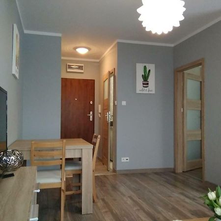 Appartamento Apartament Edelmana Gorzów Wielkopolski Esterno foto
